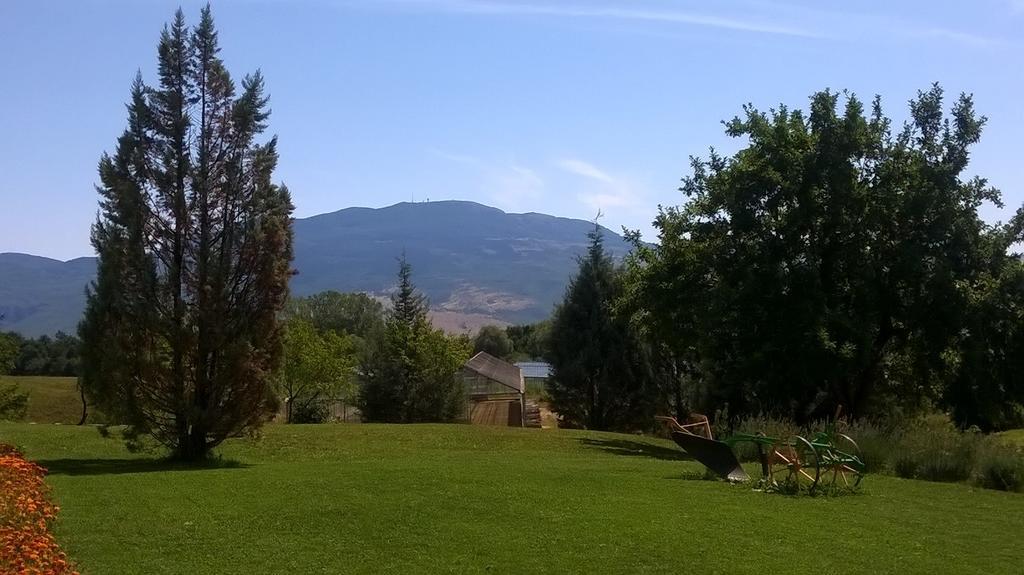 Agroturism Stara Stala Otel Borut Dış mekan fotoğraf