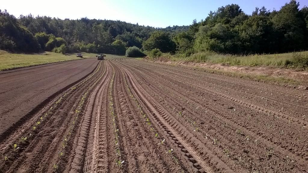Agroturism Stara Stala Otel Borut Dış mekan fotoğraf