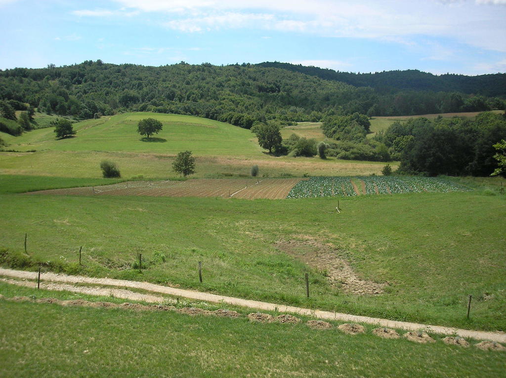 Agroturism Stara Stala Otel Borut Dış mekan fotoğraf