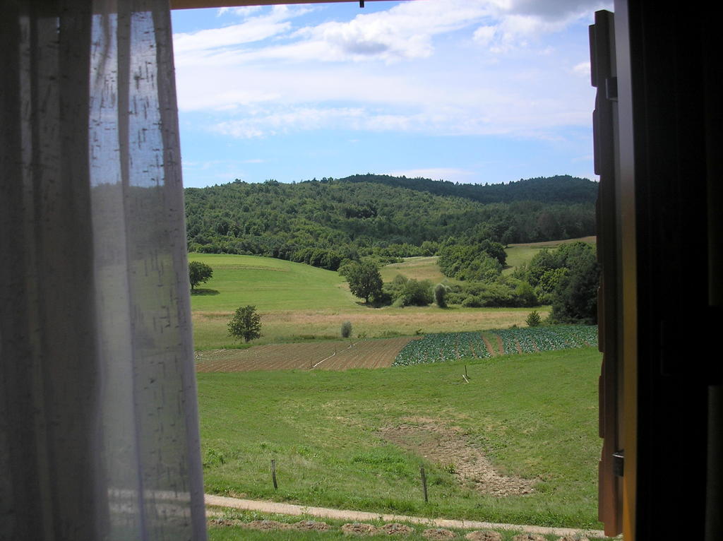 Agroturism Stara Stala Otel Borut Oda fotoğraf