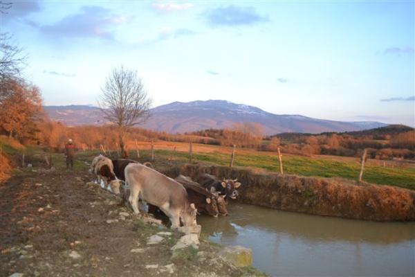 Agroturism Stara Stala Otel Borut Dış mekan fotoğraf
